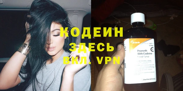 гидра Михайловка