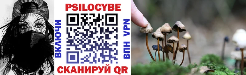 магазин наркотиков Юрьевец Галлюциногенные грибы Psilocybe